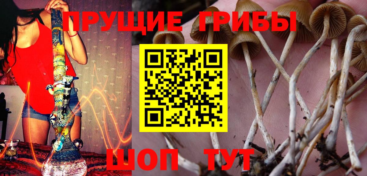 Псилоцибиновые грибы мухоморы  Вход с VPN  Карпинск 